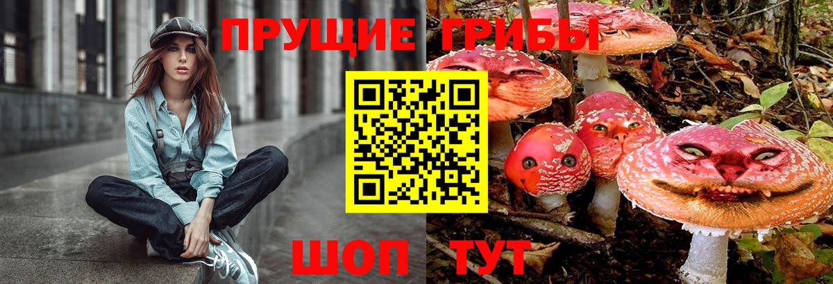 Псилоцибиновые грибы Psilocybine cubensis Екатеринбург